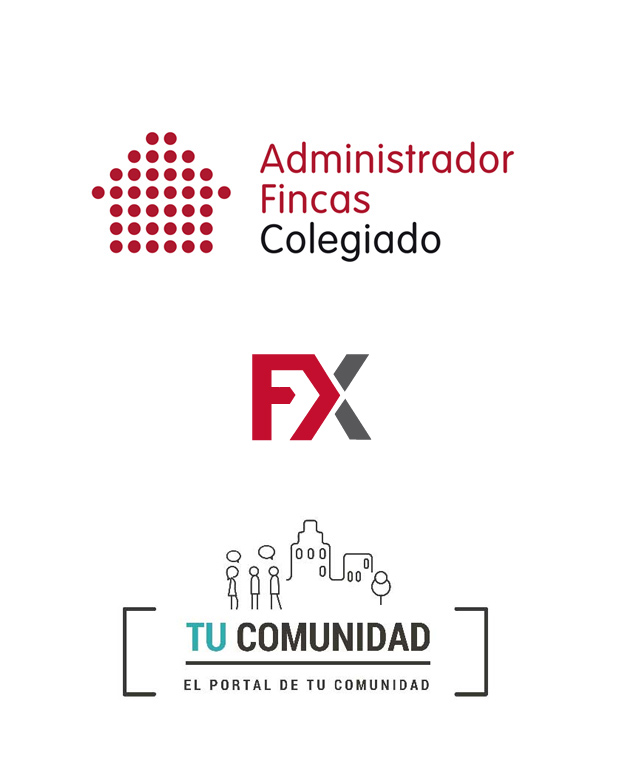 administrador colegiado
